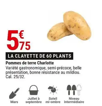Gamm vert Pommes de terre charlotte offre