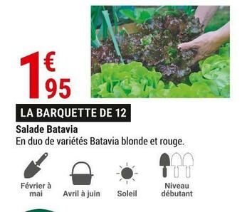 Gamm vert Salade batavia offre