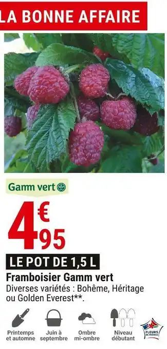 Gamm vert framboisier