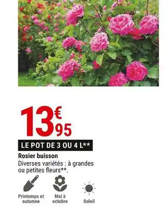 Gamm vert Rosier buisson offre