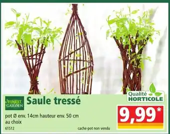 Norma Saule Tressé offre