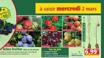 Arbre Fruitier