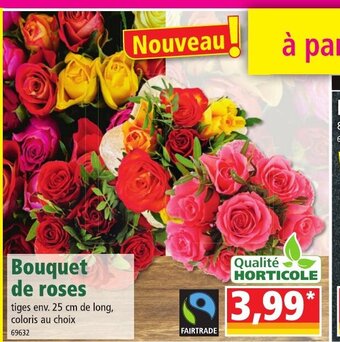 Norma Bouquet de Roses offre