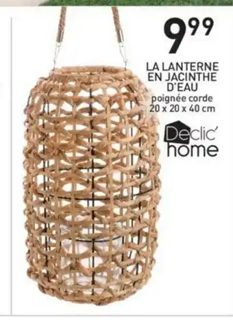 Stokomani La Lanterne En Jacinthe offre