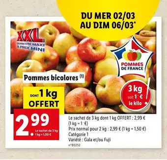 Lidl Pommes Bicolores offre