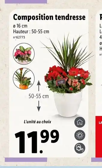 Lidl Composition Tendresse offre