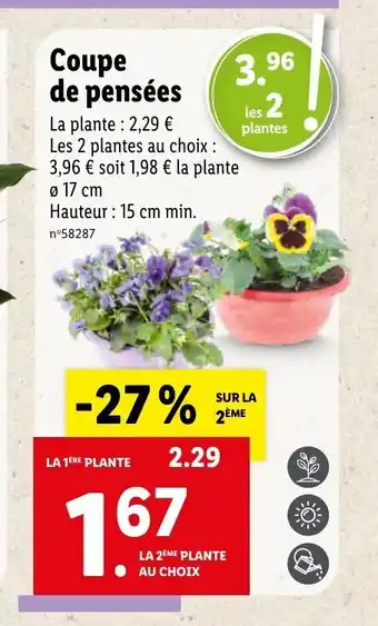 Lidl Coupe De Pensées offre