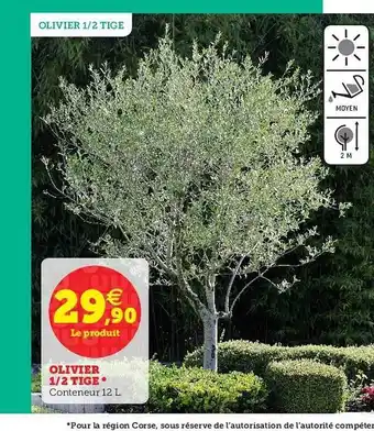Super U Olivier 1 2 Tige offre