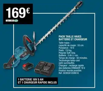 Brico Dépôt Pack taille haies batterie et chargeur offre