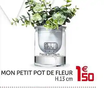 Gifi Mon Petit Pot De Fleur offre