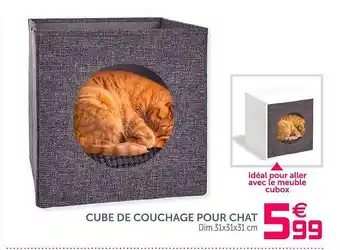Gifi Cube De Couchage Pour Chat offre