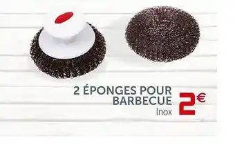 2 éponges Pour Barbecue