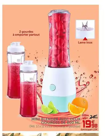 Mini Blender Avec Deux Gourdes De 600 Ml