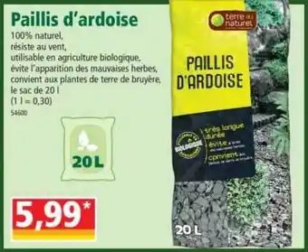 Norma Paillis D'ardoise offre