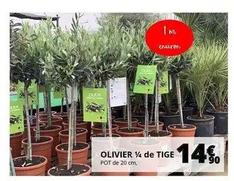 Auchan Olivier 1-4 De Tige offre