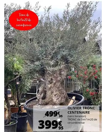 Auchan Olivier Tronc Centenaire offre