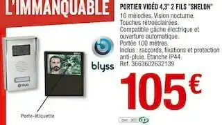 Brico Dépôt Blyss portier vidéo 4,3" 2fils shelon offre