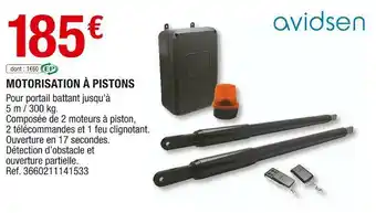 Brico Dépôt Avidsen motorisation à pistons offre