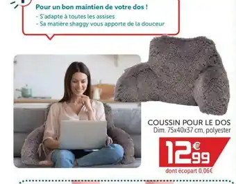 Gifi Coussin Pour Le Dos offre