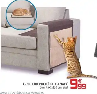 Gifi Griffoir Protège canapé offre