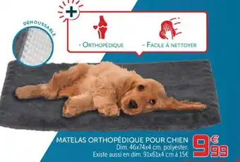 Gifi Matelas Orthopédique Pour Chien offre