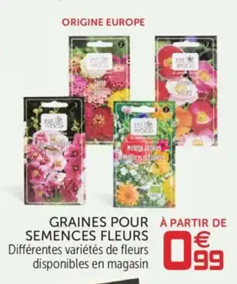 Gifi Graines Pour Semences Fleurs offre