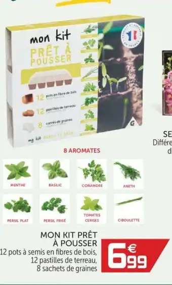 Gifi Mon Kit Prêt à Pousser offre