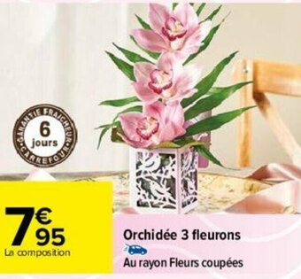 Carrefour Orchidée 3 fleurons offre
