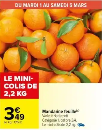 Carrefour Mandarine feuille offre