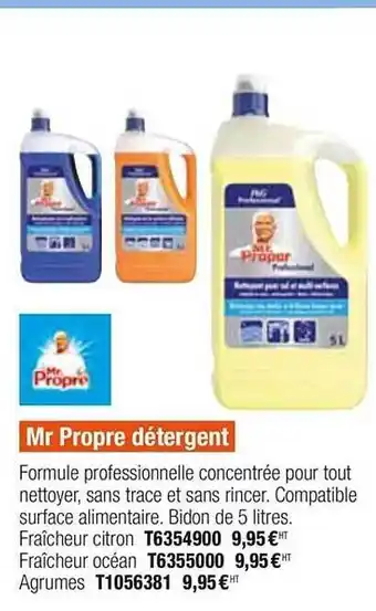 Plein ciel Mr Propre Détergent offre