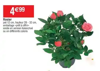Cora x Carrefour Rosier offre