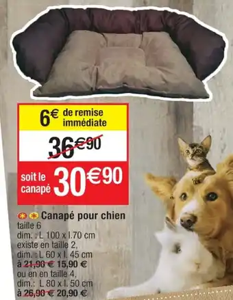 Canapé pour chien