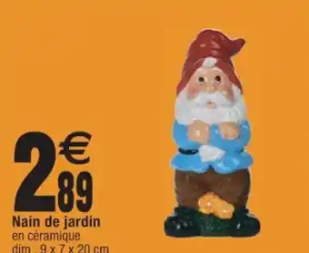Cora x Carrefour Nain de jardin offre