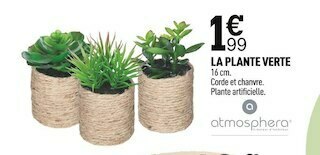 Centrakor La plante verte offre