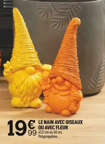 Centrakor Le nain avec oiseaux ou avec fleur offre