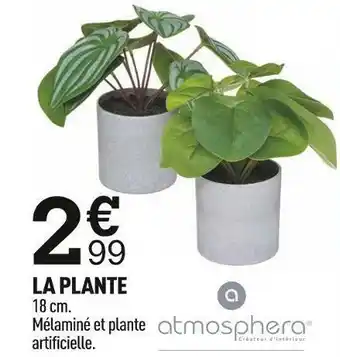 Centrakor La plante offre