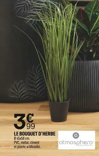 Centrakor Le bouquet d’herbe offre