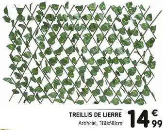 Treillis de lierre