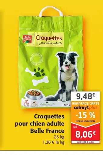 Colruyt Croquettes Pour Chien Adulte offre