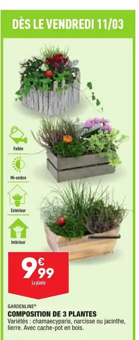 Composition De 3 Plantes