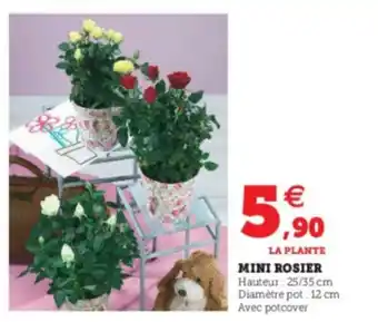 Super U Mini Rosier offre
