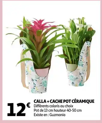 Auchan Calla + cache pot céramique offre