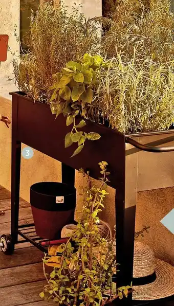 Jardiland Jardinière sur pieds offre