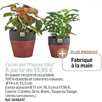 Jardiland Cache-pot “papots alba” offre