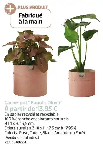 Jardiland Cache-pot “papots olivia” offre