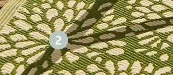 Jardiland Tapis d’extérieur fleurs offre
