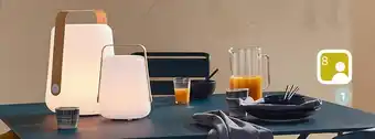 Jardiland Table cargo offre