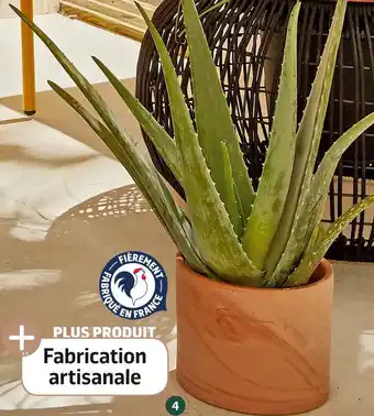 Jardiland Pot “cylindre” offre