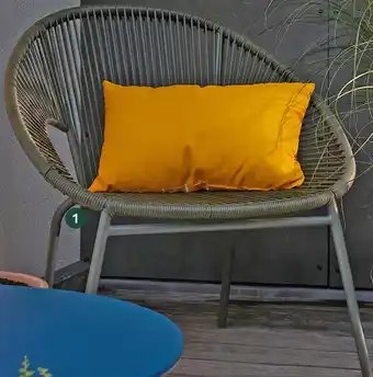 Jardiland Fauteuil nathalie offre