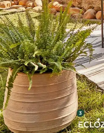 Pot rond âstriĂ©â ecloz